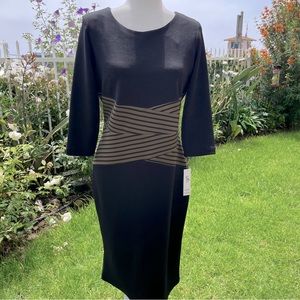 Shelby & Palmer Black/ Tan Dress Size 12